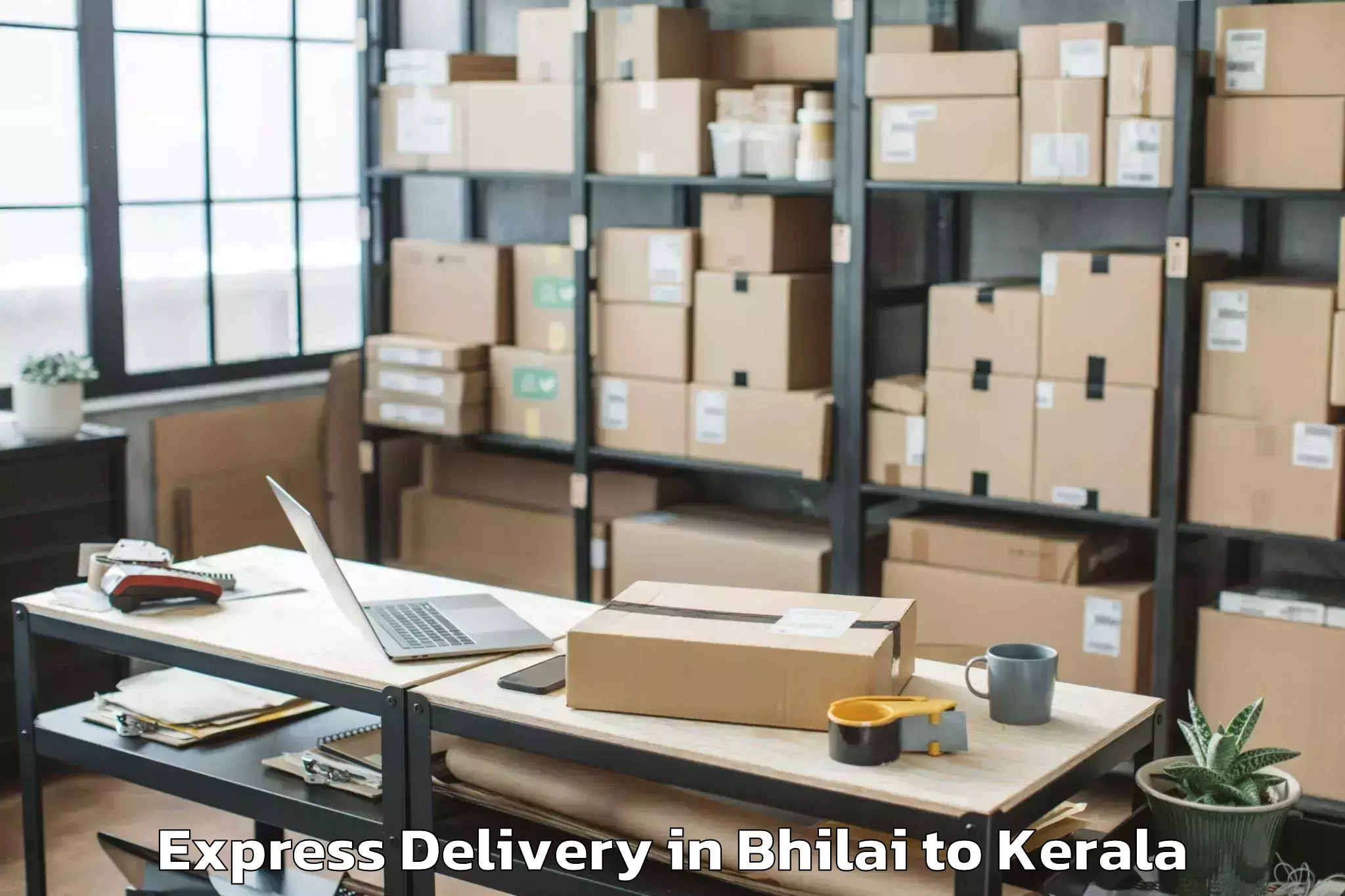 Professional Bhilai to Guruvayur Express Delivery